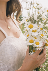 Sérum carotte et argousier - 10 ml